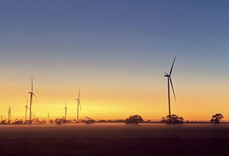 Renewables hit record high in Australia, as green energy transition rolls on
