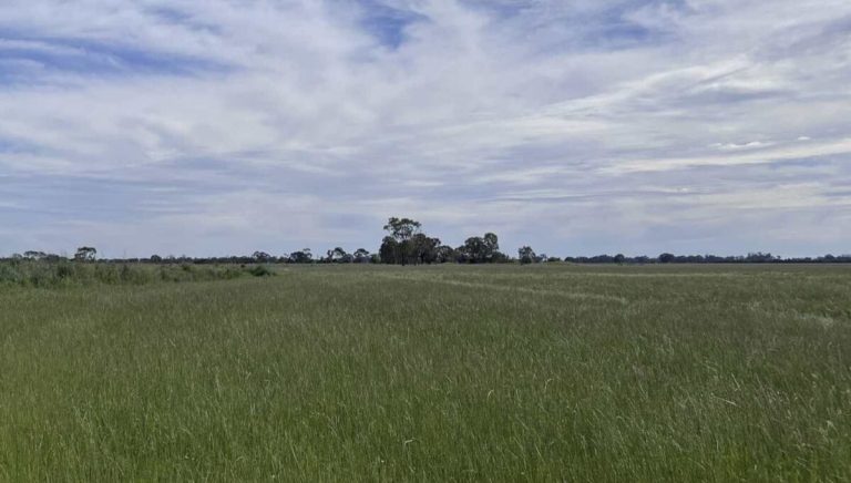 New solar project in Victoria lands off-take deal with Japanese owned retailer
