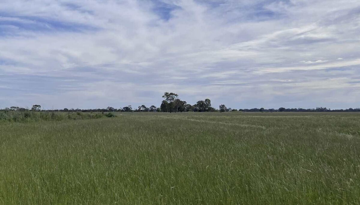 New solar project in Victoria lands off-take deal with Japanese owned retailer