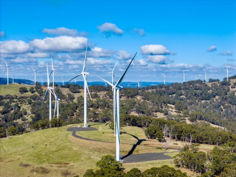 PPA initiative for NSW councils and businesses