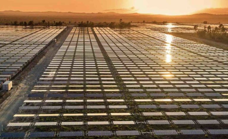 Renewable records season arrives early as solar pushes sunshine state to new highs