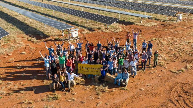 Pioneering solar garden prepares for its first harvest