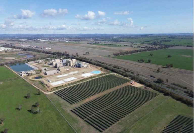 Canola oil producer switches on 2.8 MW solar farm to power its crushing plant entirely with PV