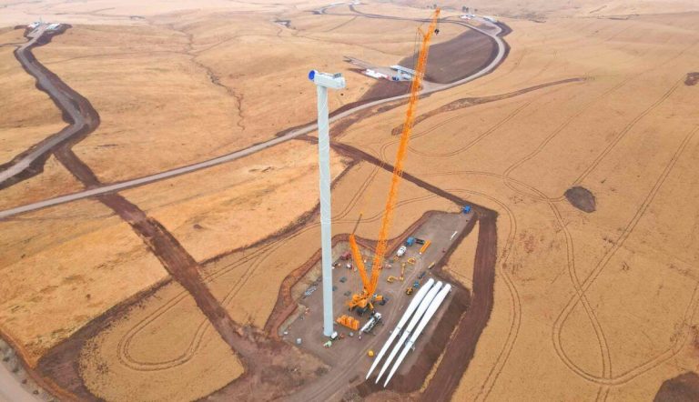NSW gets lion’s share as 19 solar, wind and hybrid projects win Australia’s biggest renewable tender