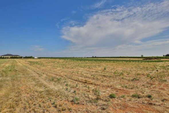 Solar farm and battery emerge from rhombus of regret with bank finance and a construction plan