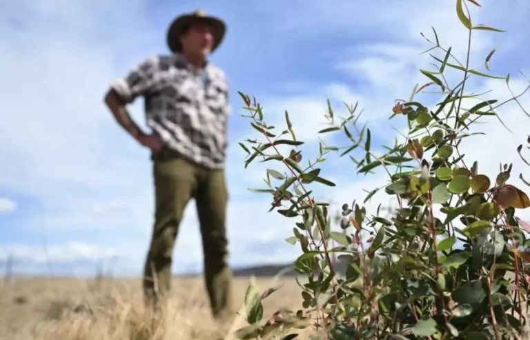 Labor woos landowners with developer ratings pilot, land potential website