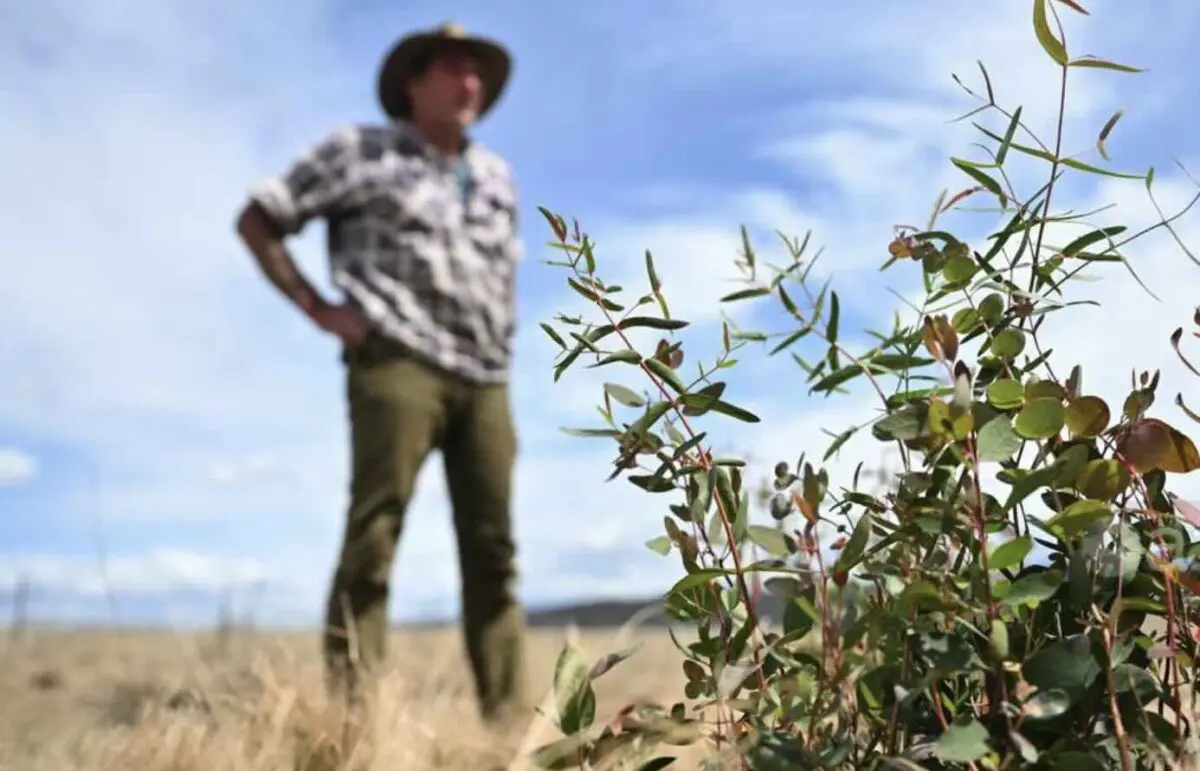 Labor woos landowners with developer ratings pilot, land potential website