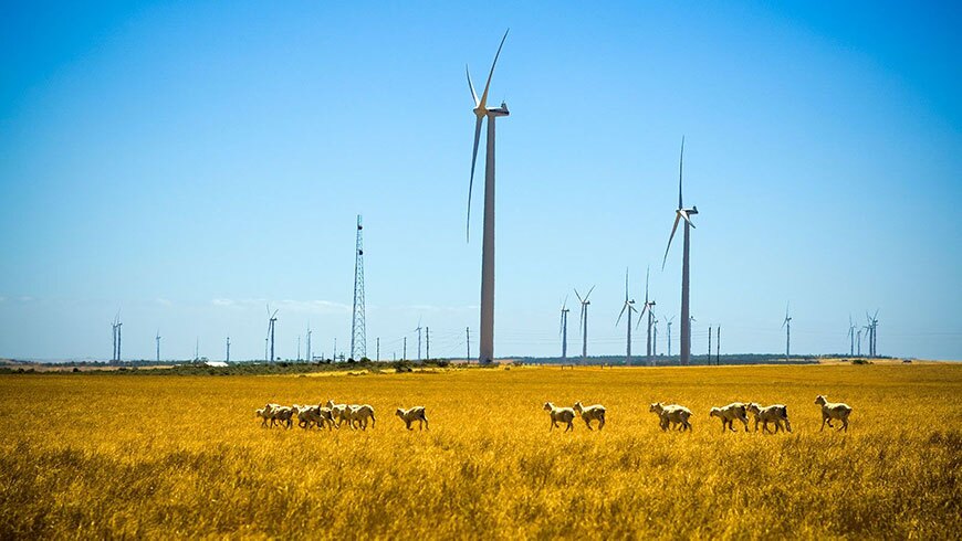 Local council begs state to create NSW-like renewables plan