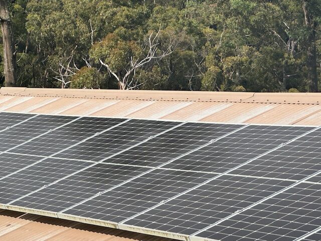 Greens to leverage Snowy Hydro to make rooftop solar PV available for seven million renters