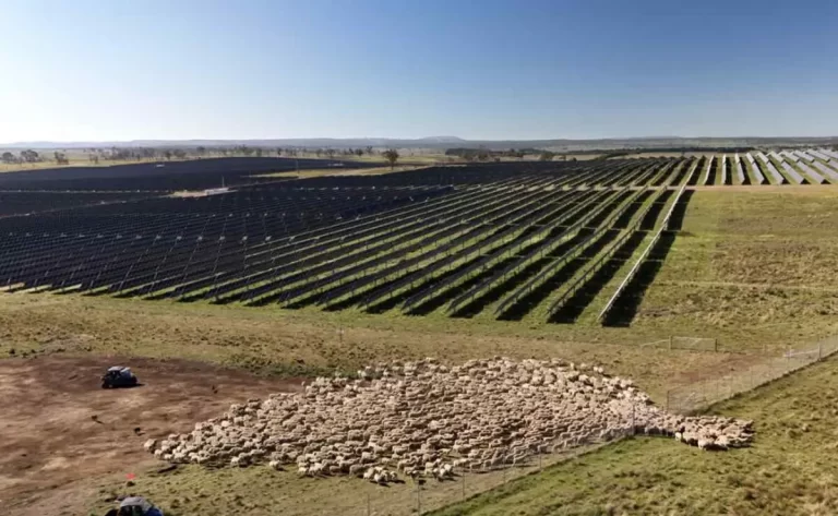 Australia’s biggest solar farm will help power industrial gas giant in major deal brokered by Zen