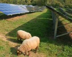 Major blooper on wind output has stranded some of Australia’s best projects with no grid access