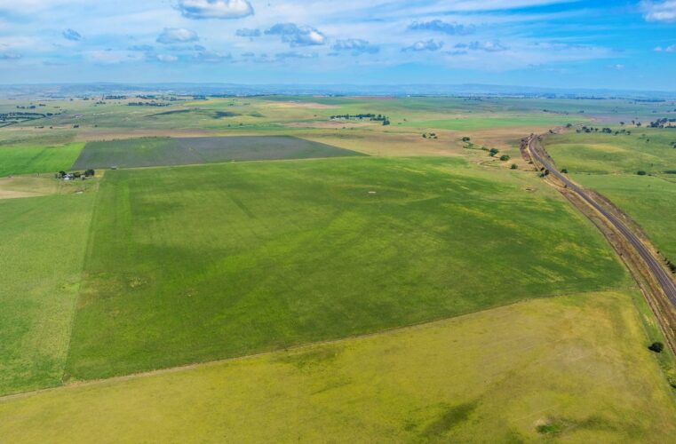 How old is that sheep? Edify floats another solar and battery project amid reports it is fishing for buyers