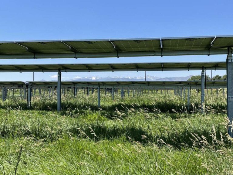 Solar farms reduce water stress, improve soils and plant growth, new study finds