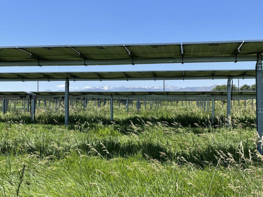 Solar farms reduce water stress, improve soils and plant growth, new study finds