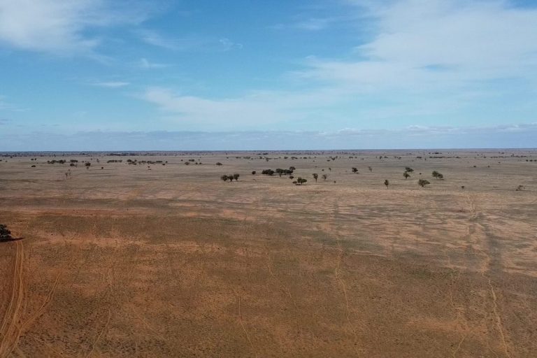 Zen Energy gets all-clear to connect its flagship solar and battery project to SA grid
