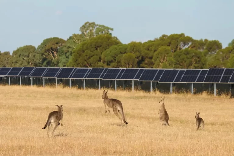 The CIS dash to 23 gigawatts of wind and solar by 2030