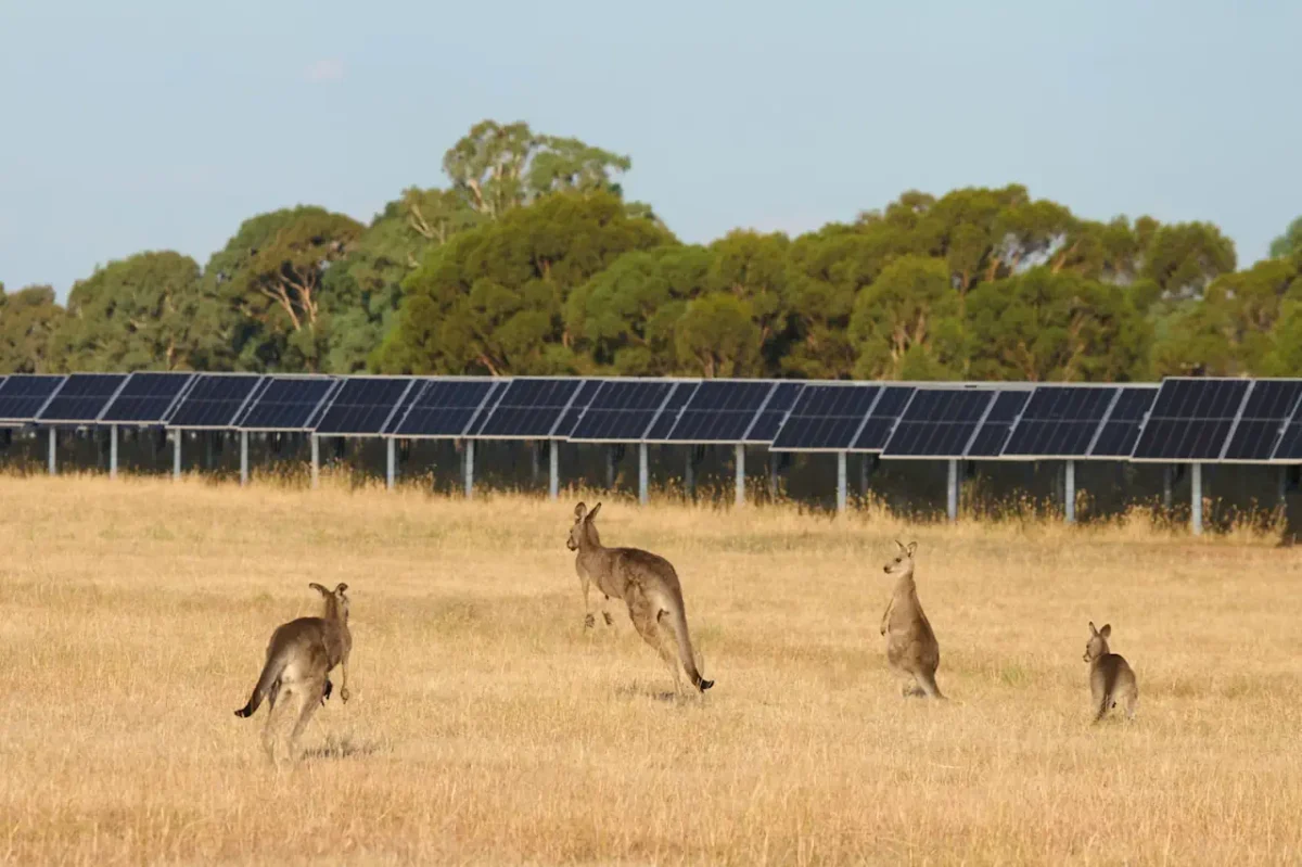 The CIS dash to 23 gigawatts of wind and solar by 2030