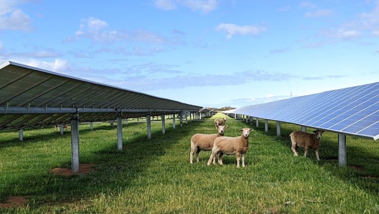 Solar battery hybrid project forced to IPC due to weight of opponents, half of whom live more than 100 km away