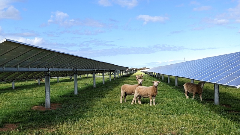 Solar battery hybrid project forced to IPC due to weight of opponents, half of whom live more than 100 km away